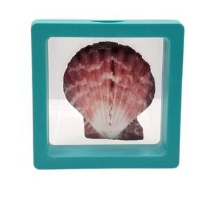 Decorative Seashell in Teal Frame 2.75x2.75